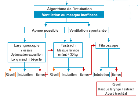 association francaise anesthesistes reanimateurs association francaise anesthesistes reanimateurs